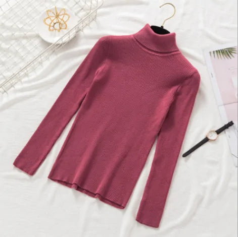 Pullover Women Knitted Turtleneck Sweater